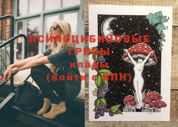 MDMA Premium VHQ Медвежьегорск